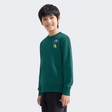 北面童装儿童男女印花长袖休闲卫衣户外新款TheNorthFace|8DCM